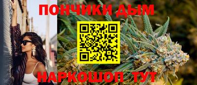 спиды Новодвинск