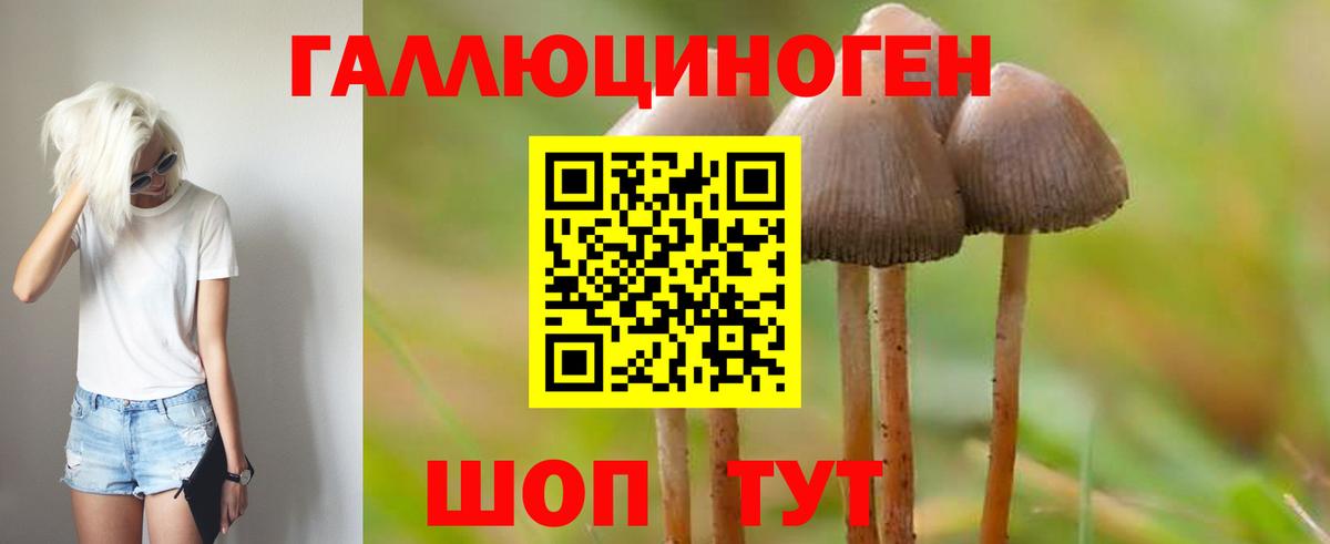 Псилоцибиновые грибы мицелий Тольятти
